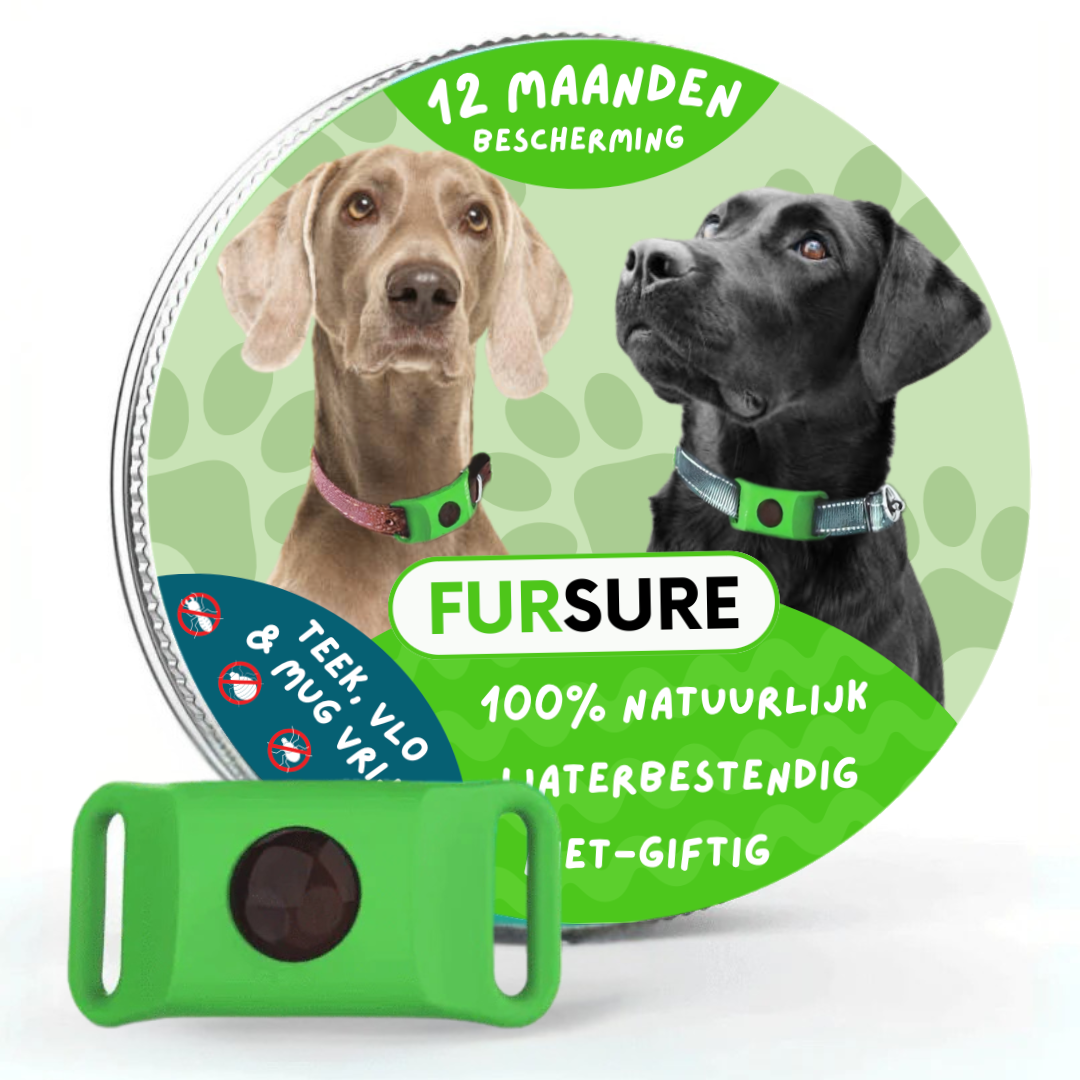 FurSure™ - 12 Maanden Bescherming voor Honden