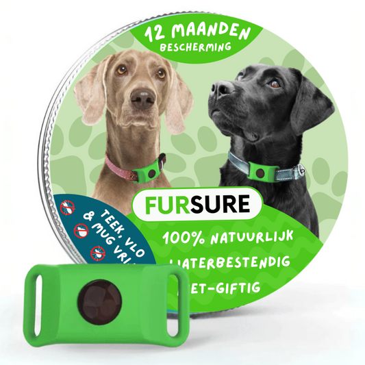 FurSure™ - 12 Maanden Bescherming voor Honden