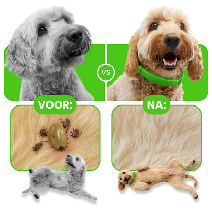 FurSure - De 100% Natuurlijke Halsband Tegen Teken & Vlooien